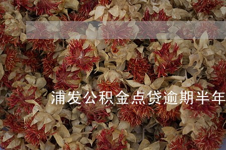 浦发公积金点贷逾期半年 浦发公积金点贷逾期半年