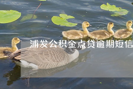 浦发公积金点贷逾期短信提醒 浦发公积金点贷逾期短信提醒