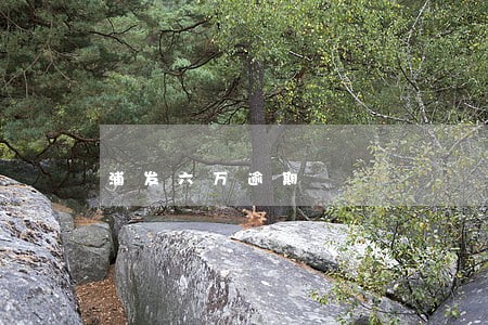 浦发六万逾期 浦发六万逾期
