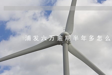 浦发六万逾期半年多怎么协商 浦发六万逾期半年多怎么协商