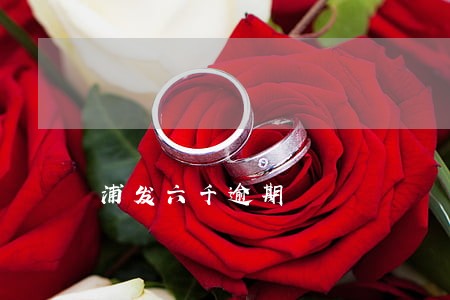 浦发六千逾期 浦发六千逾期