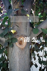 浦发几天不还算逾期 浦发几天不还算逾期