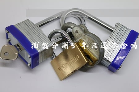 浦发分期5年只还本金吗 浦发分期5年只还本金吗