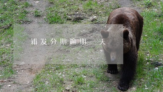 浦发分期逾期一天 浦发分期逾期一天