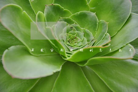 浦发分期逾期利息怎么算 浦发分期逾期利息怎么算