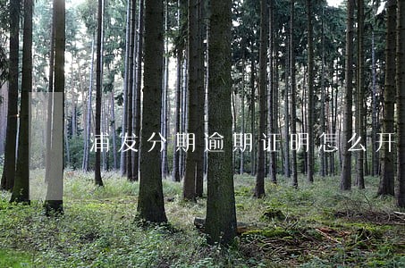 浦发分期逾期证明怎么开