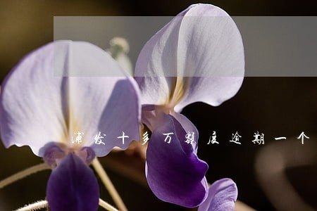 浦发十多万额度逾期一个月会怎样 浦发十多万额度逾期一个月会怎样