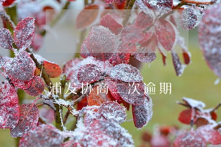 浦发协商二次逾期 浦发协商二次逾期