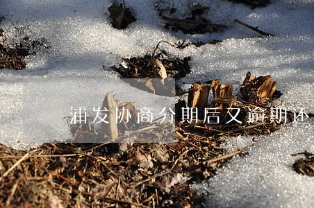 浦发协商分期后又逾期还错卡了 浦发协商分期后又逾期还错卡了