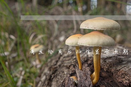 浦发协商后征信显示逾期还是止付 浦发协商后征信显示逾期还是止付