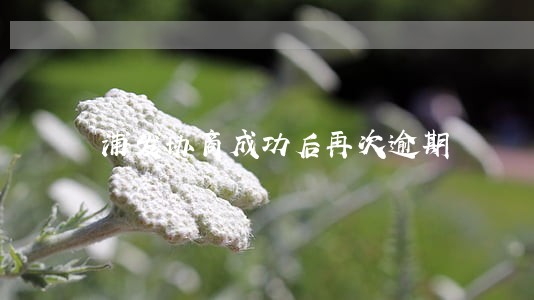 浦发协商成功后再次逾期 浦发协商成功后再次逾期