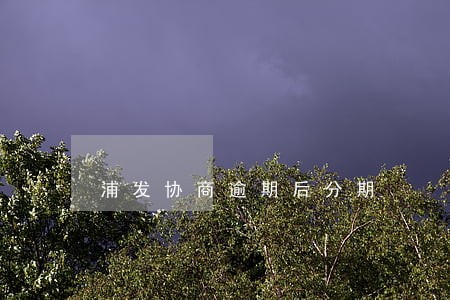 浦发协商逾期后分期