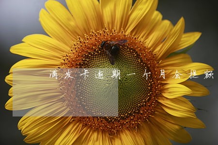 浦发卡逾期一个月会提额吗