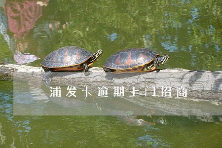 浦发卡逾期上门招商 浦发卡逾期上门招商