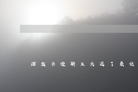 浦发卡逾期五天还了最低 浦发卡逾期五天还了最低