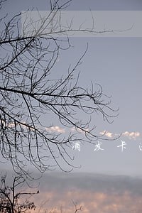 浦发卡逾期几天会冻结吗 浦发卡逾期几天会冻结吗