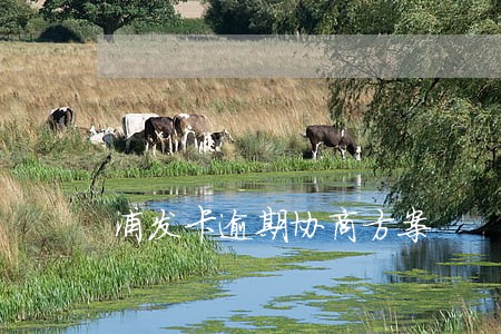 浦发卡逾期协商方案 浦发卡逾期协商方案