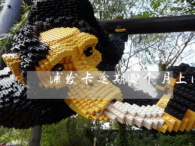 浦发卡逾期四个月上门