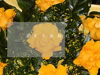 浦发卡逾期打电话 浦发卡逾期打电话