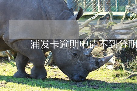 浦发卡逾期申请不到分期 浦发卡逾期申请不到分期