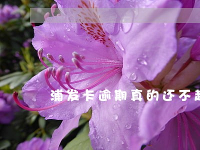 浦发卡逾期真的还不起了咋办 浦发卡逾期真的还不起了咋办