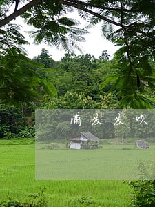 浦发发呗贷款逾期一天 浦发发呗贷款逾期一天