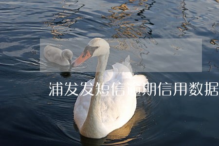 浦发发短信逾期信用数据库 浦发发短信逾期信用数据库