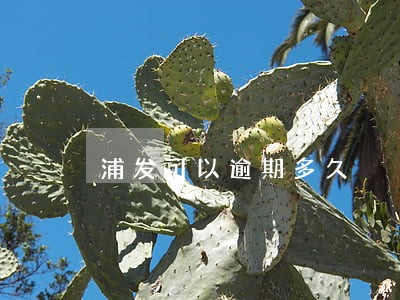 浦发可以逾期多久 浦发可以逾期多久