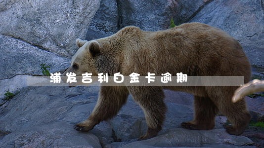 浦发吉利白金卡逾期 浦发吉利白金卡逾期