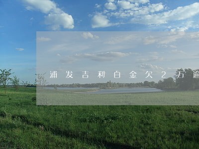 浦发吉利白金欠2万逾期一年了 浦发吉利白金欠2万逾期一年了