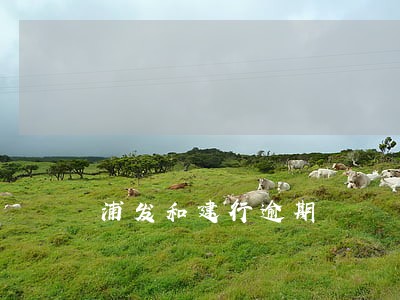 浦发和建行逾期 浦发和建行逾期