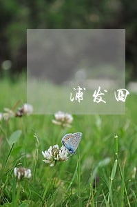 浦发四千逾期两个月后果 浦发四千逾期两个月后果