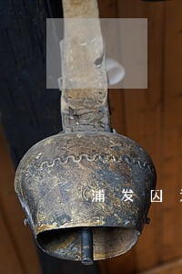 浦发因为逾期被锁 浦发因为逾期被锁