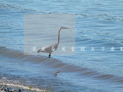 浦发备用金超五万逾期 浦发备用金超五万逾期