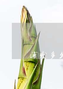 浦发多久不还算逾期 浦发多久不还算逾期