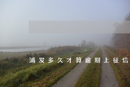 浦发多久才算逾期上征信
