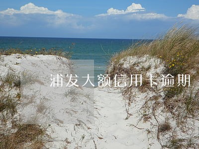 浦发大额信用卡逾期
