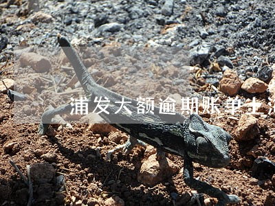 浦发大额逾期账单上海