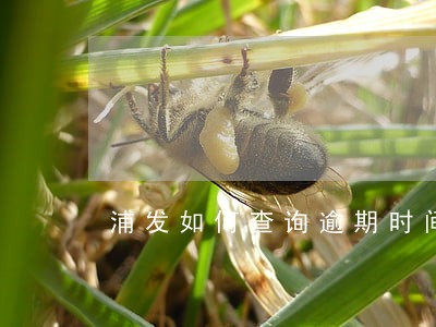 浦发如何查询逾期时间 浦发如何查询逾期时间