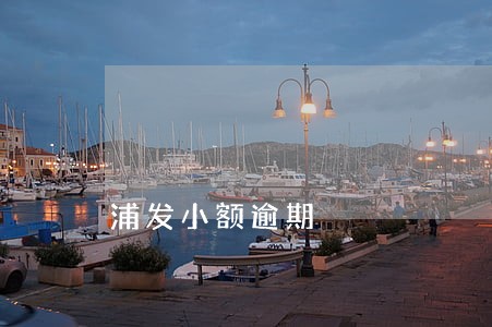 浦发小额逾期