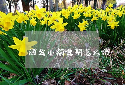 浦发小额逾期怎么消 浦发小额逾期怎么消