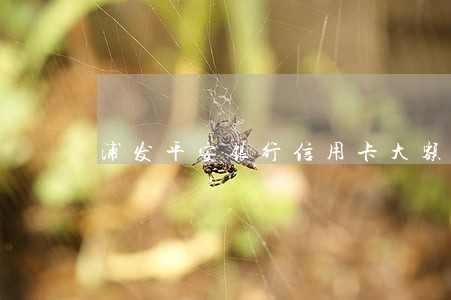 浦发平安银行信用卡大额逾期 浦发平安银行信用卡大额逾期