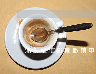 浦发征信逾期撤销申请 浦发征信逾期撤销申请