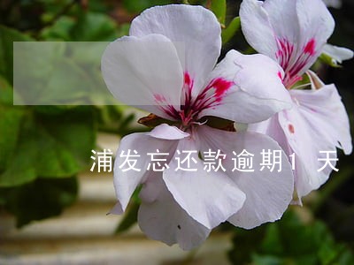 浦发忘还款逾期1天 浦发忘还款逾期1天