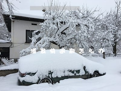 浦发快逾期怎么办