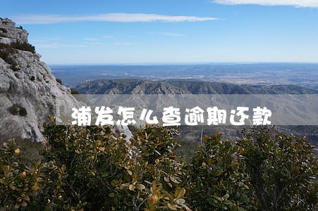 浦发怎么查逾期还款 浦发怎么查逾期还款