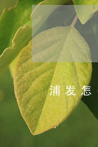浦发怎么退逾期违约金