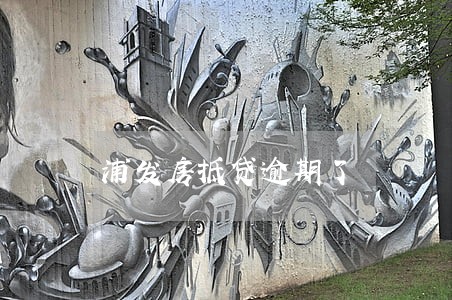 浦发房抵贷逾期了