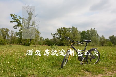 浦发房款逾期怎么交 浦发房款逾期怎么交