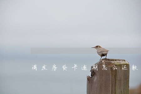 浦发房贷卡逾期怎么还款吗 浦发房贷卡逾期怎么还款吗